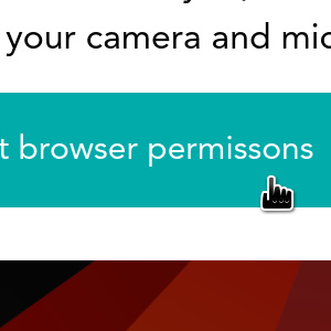 Request browser permissions