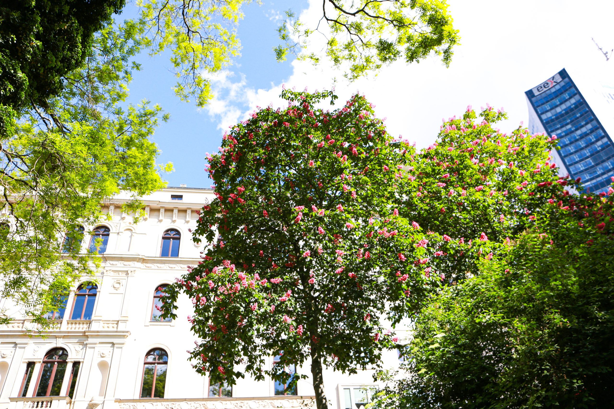 Tree Sponsorship: “Baumstarke Stadt” Foto: Feng Yang