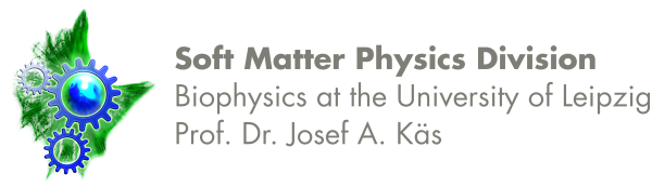 Soft Matter Physics Division - Biophysics at the University of Leipzig - Prof. Dr. Josef A. Käs